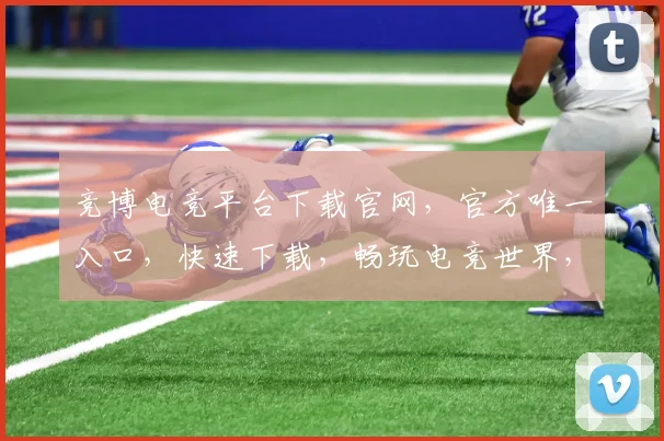 竞博电竞平台下载官网，官方唯一入口，快速下载，畅玩电竞世界，三重福利等你来